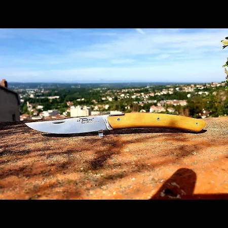 Dnn - Modern 1 Bedroom Center - Free Wifi And Parking - Near Lyon, Vichy, Clermont טייר