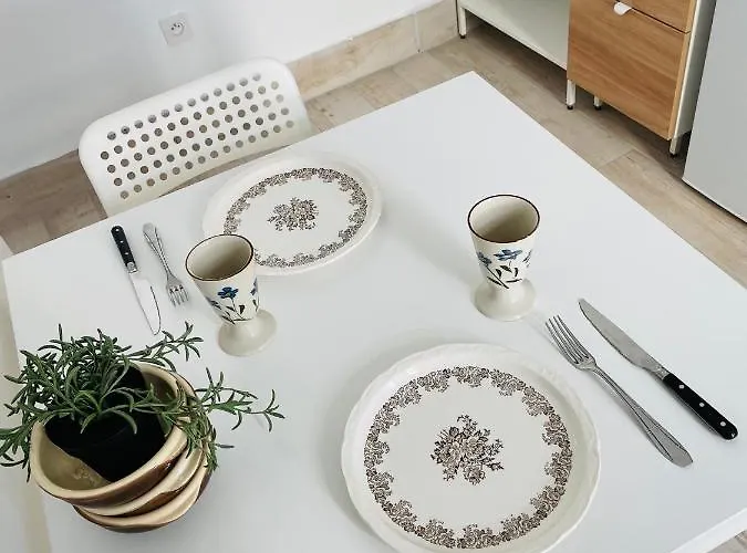 Appartement Dnn - Modern 1 Bedroom Center - Free Wifi And Parking - Near Lyon, Vichy, Clermont Thiers